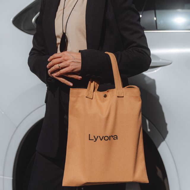 Describes the appearance of the image